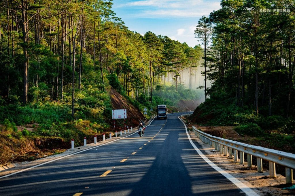 Măng Đen mùa hoa mua – bản tình ca tím giữa núi rừng Tây Nguyên