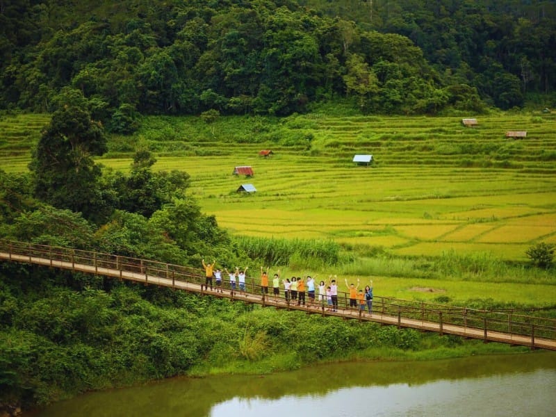 Mùa vàng trên ruộng bậc thang Kon Tu Rằng